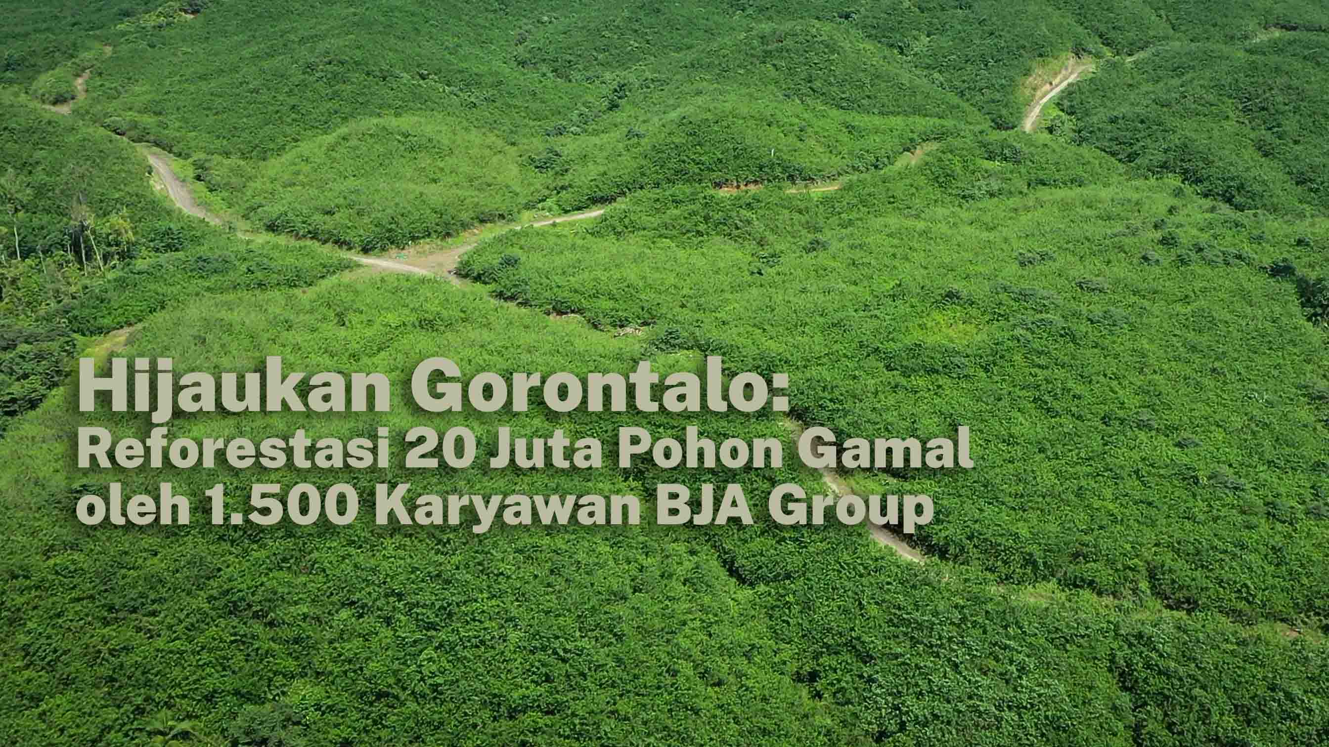 Hijaukan Gorontalo: Reforestasi 20 Juta Pohon Gamal-Sinergi 1500 Karyawan BJA Grup & Pemkab Pohuwato